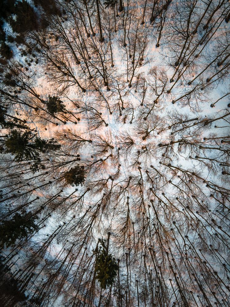 Photograph by Kuba Błaszczok