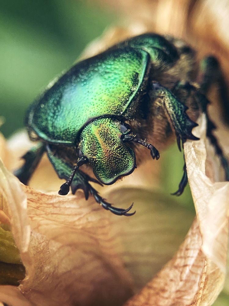 Photograph by Светлана Хаматзянова