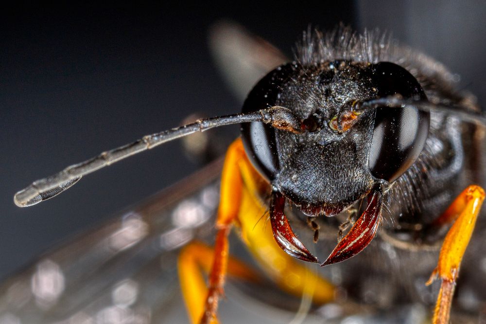 Фотография автора Vasileios Karapanagiotidis