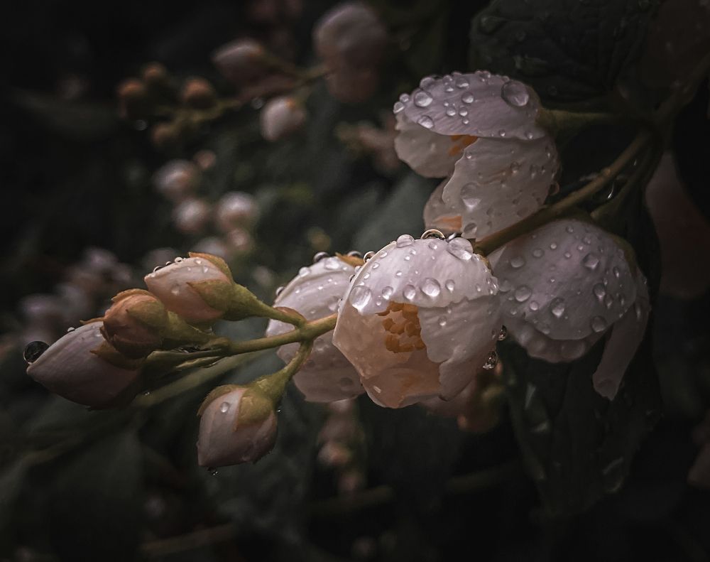 Photograph by Светлана Хаматзянова