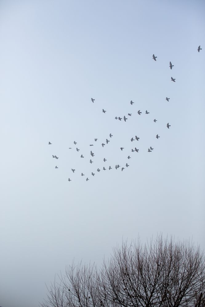 Photograph by Ирина Виноградова