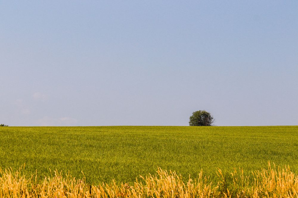 Photograph by Алексей Голубев