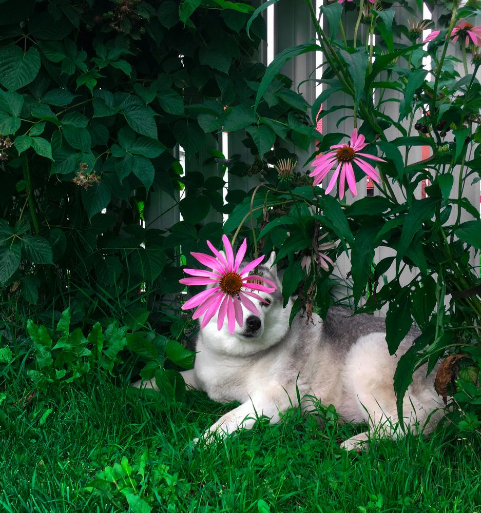 Photograph by Dina Garipova
