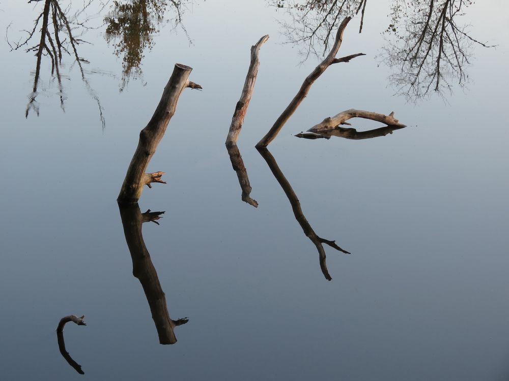 Photograph by Андрей