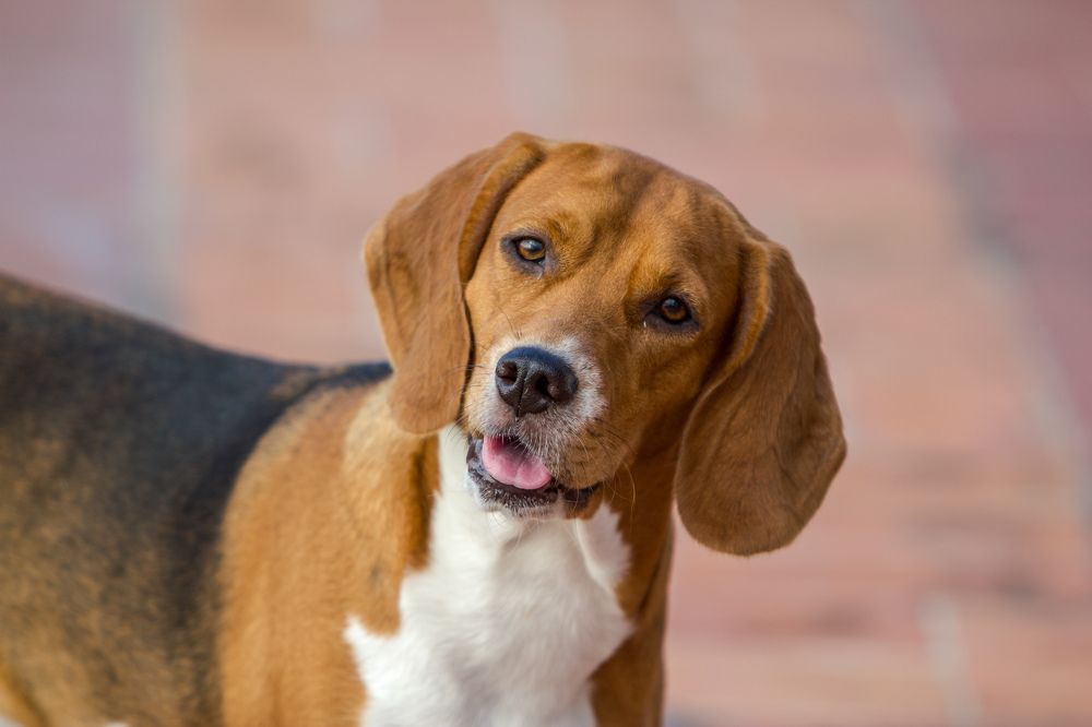 Photograph by Evelyn Carnot Montes