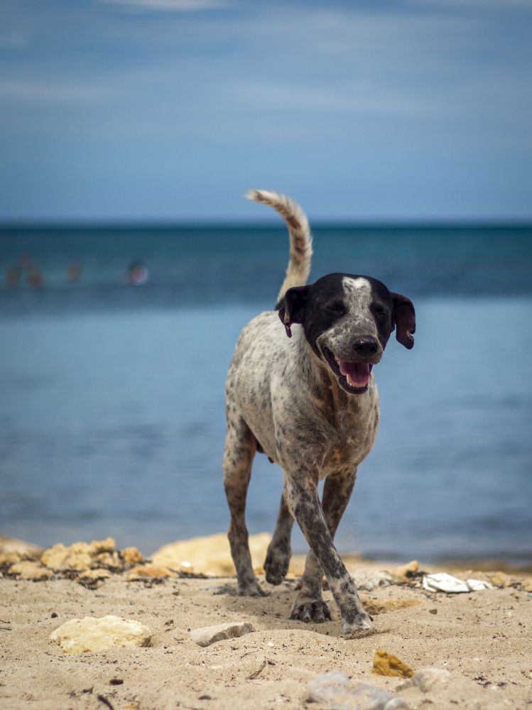 Photograph by Evelyn Carnot Montes