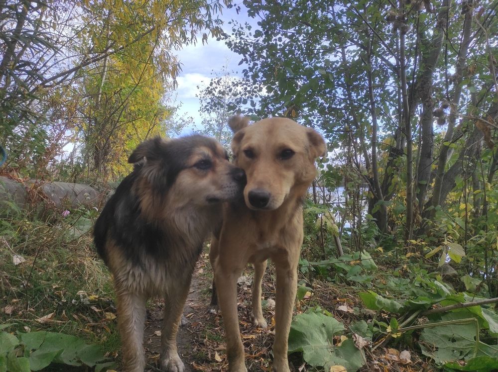 Photograph by Ирина Саттарова