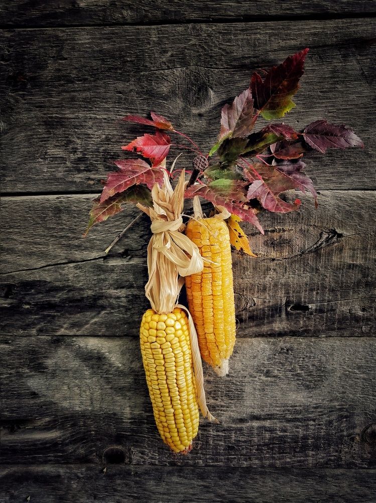 Фотография автора НАТАЛЬЯ СЕВЕР