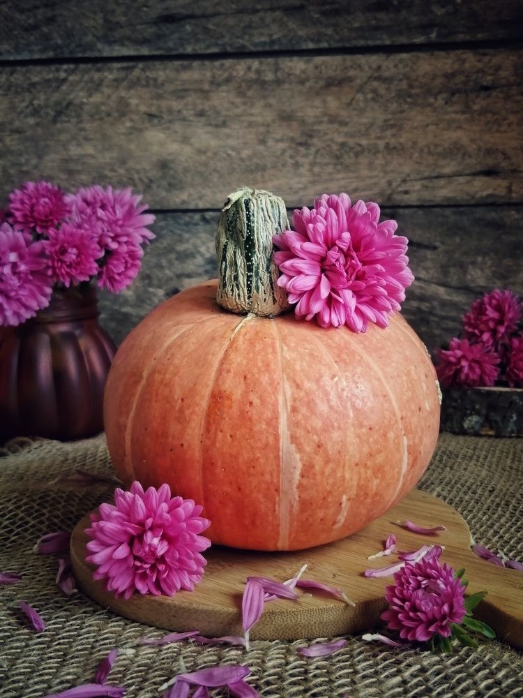 Фотография автора НАТАЛЬЯ СЕВЕР