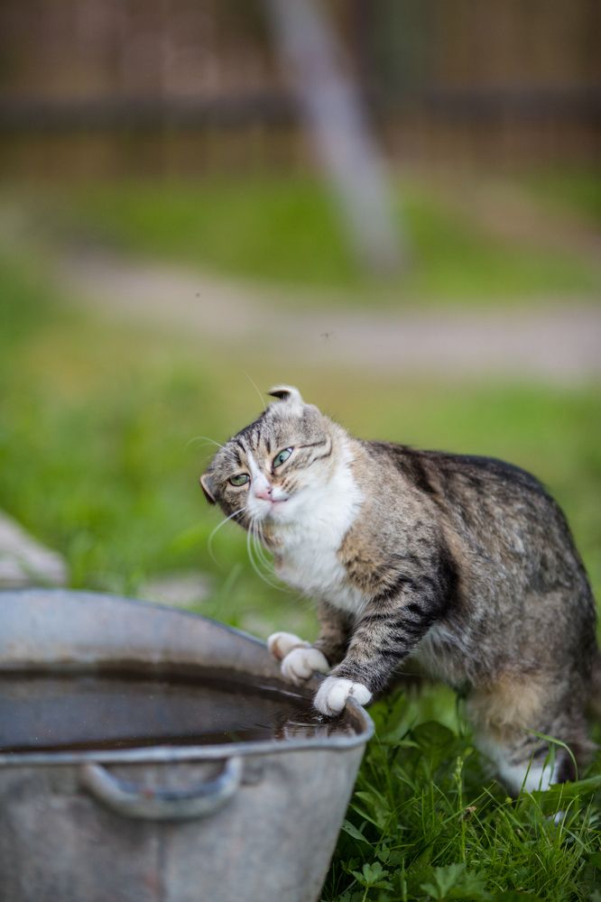 Photograph by Светлана Богачева