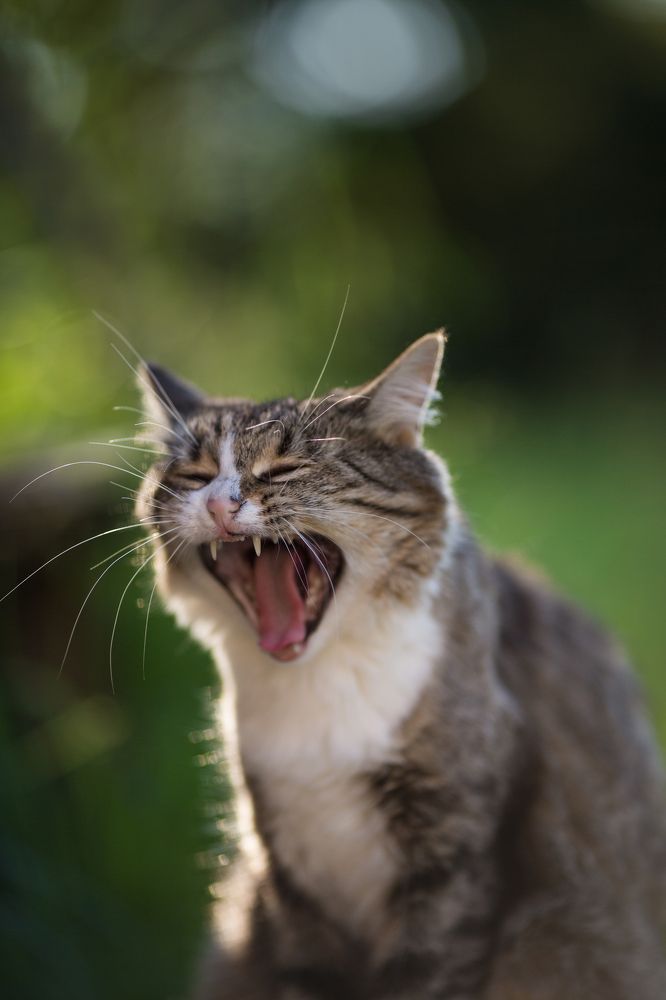 Photograph by Светлана Богачева