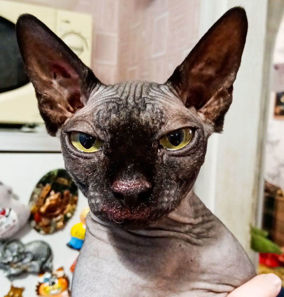 Photograph by Оксана Подъельская