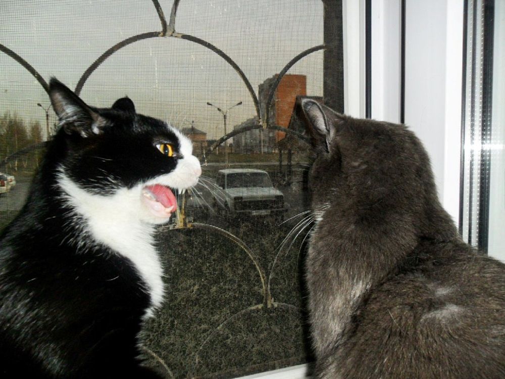 Photograph by Оксана Подъельская