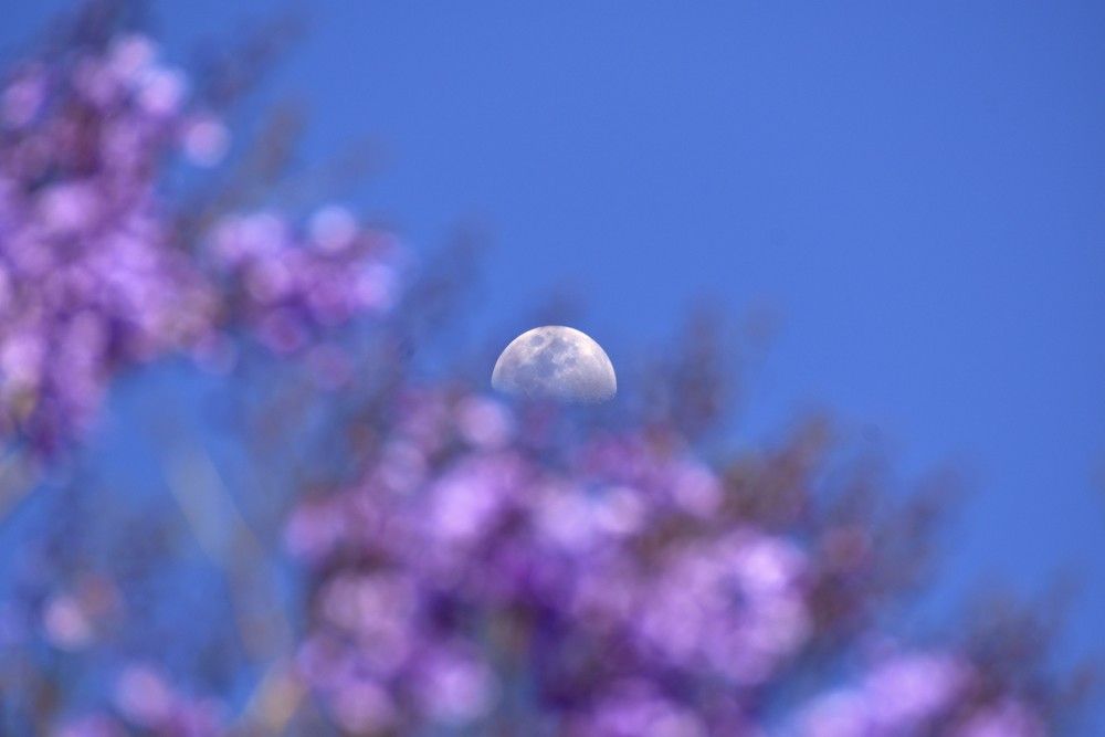 Photograph by Diego Gordillo