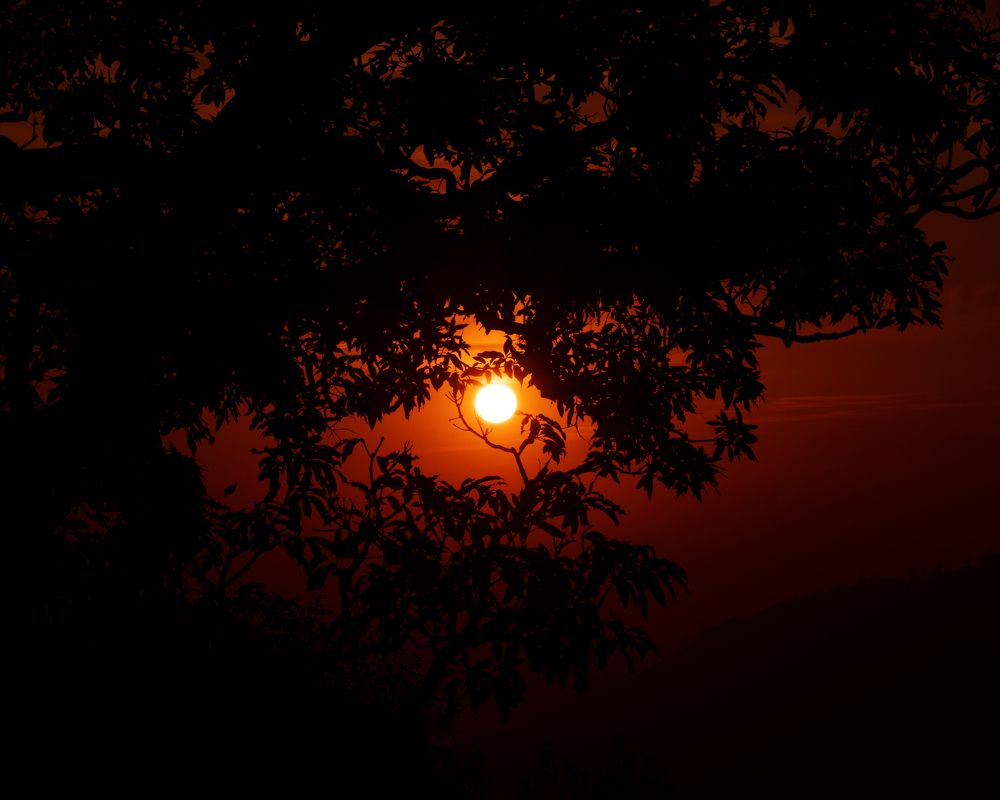 Photograph by GOVIND VISWANATH