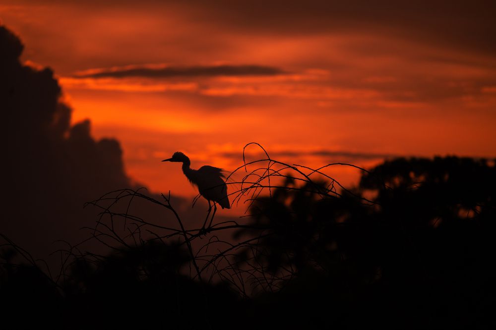 Photograph by GOVIND VISWANATH