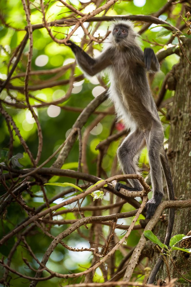Photograph by Bao Huy Nguyen