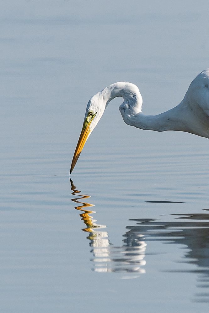 Photograph by Александр Щербаков