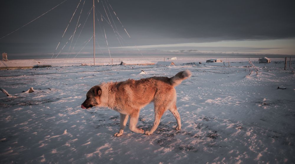 Photograph by Александр Фанталов
