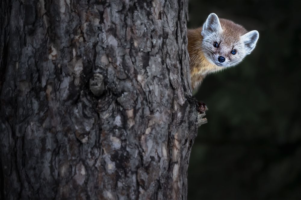 Photograph by Zhenhuan Zhou