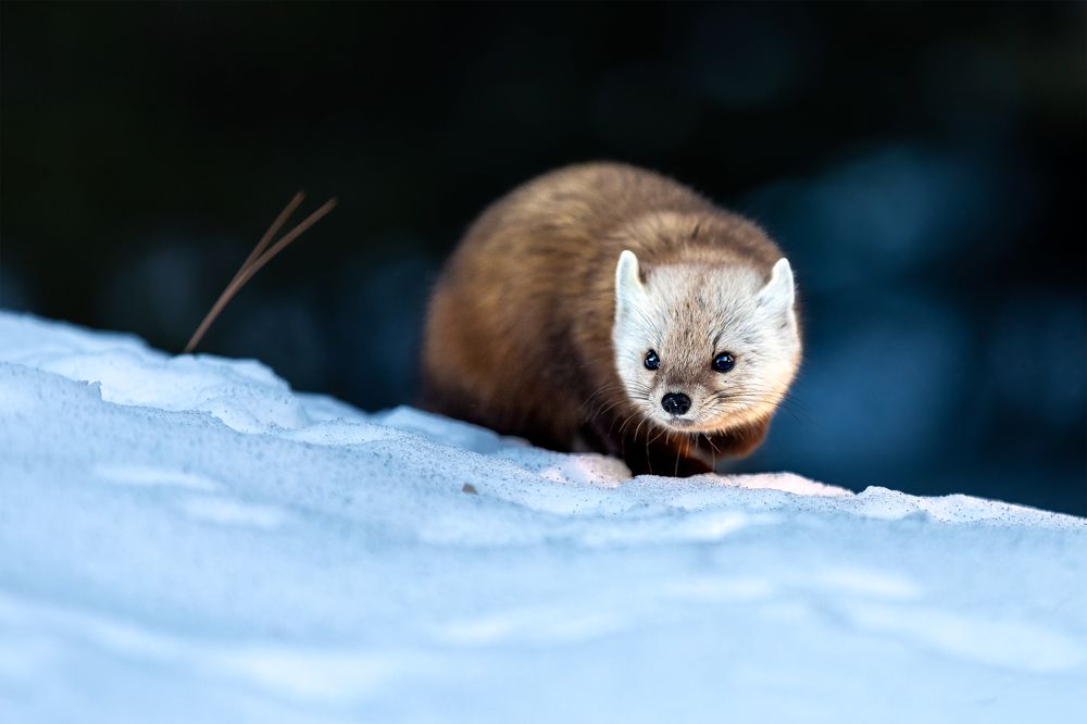 Photograph by Zhenhuan Zhou