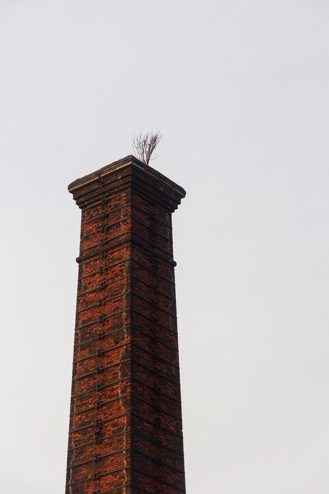 Photograph by Светлана Воробьёва