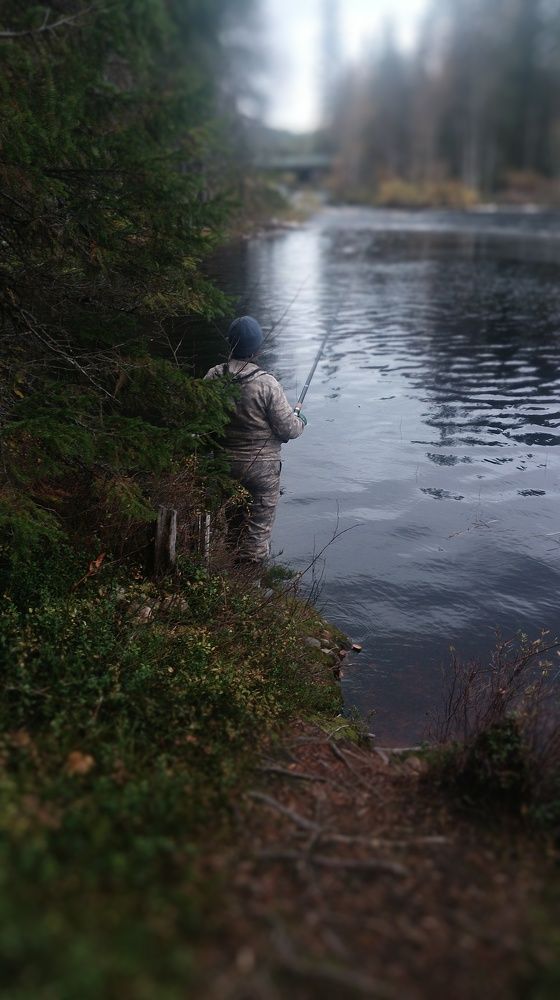 Photo #9795004