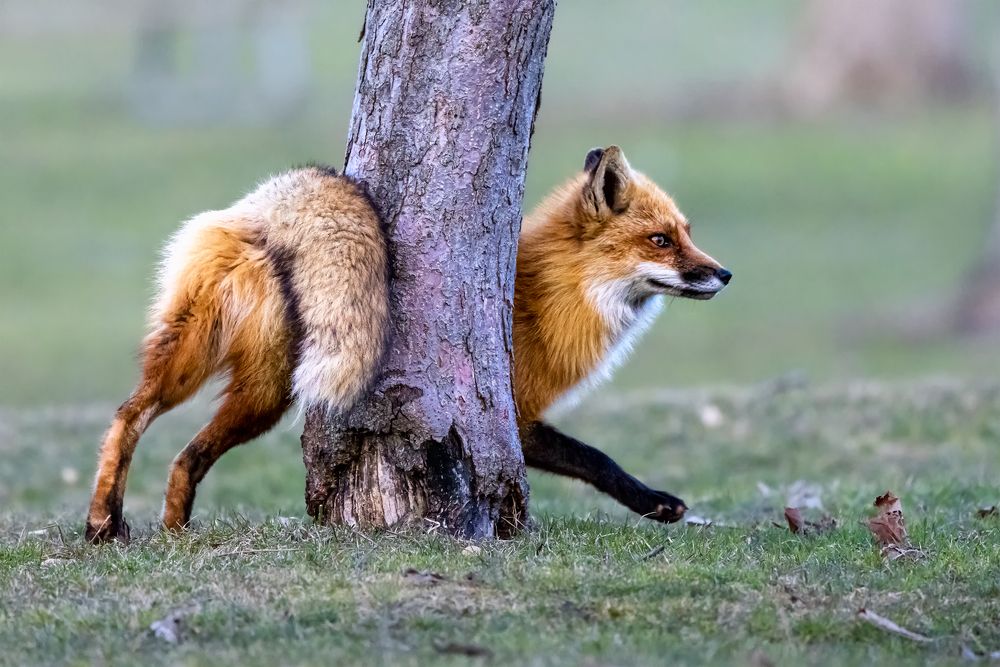 Photograph by Zhenhuan Zhou