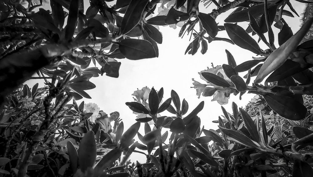 Photograph by Пирог Борис