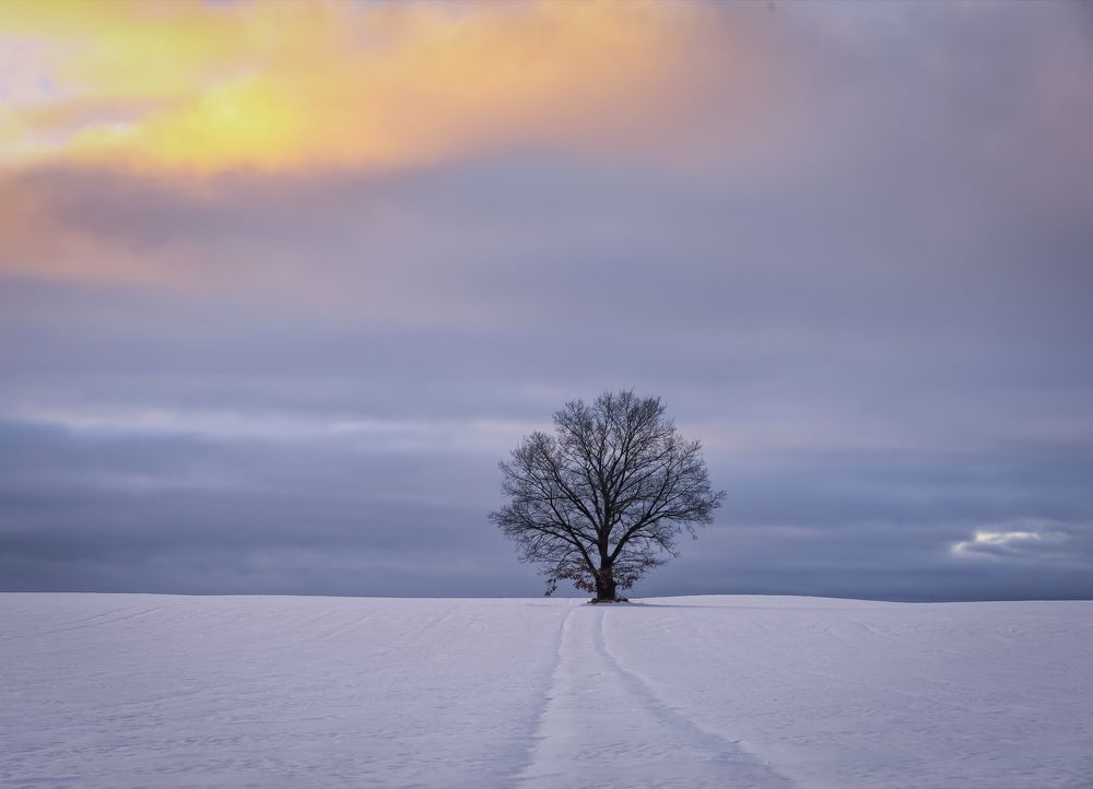 Photograph by Александр Гвоздь