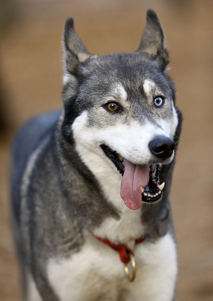 Photograph by Елена Одынец