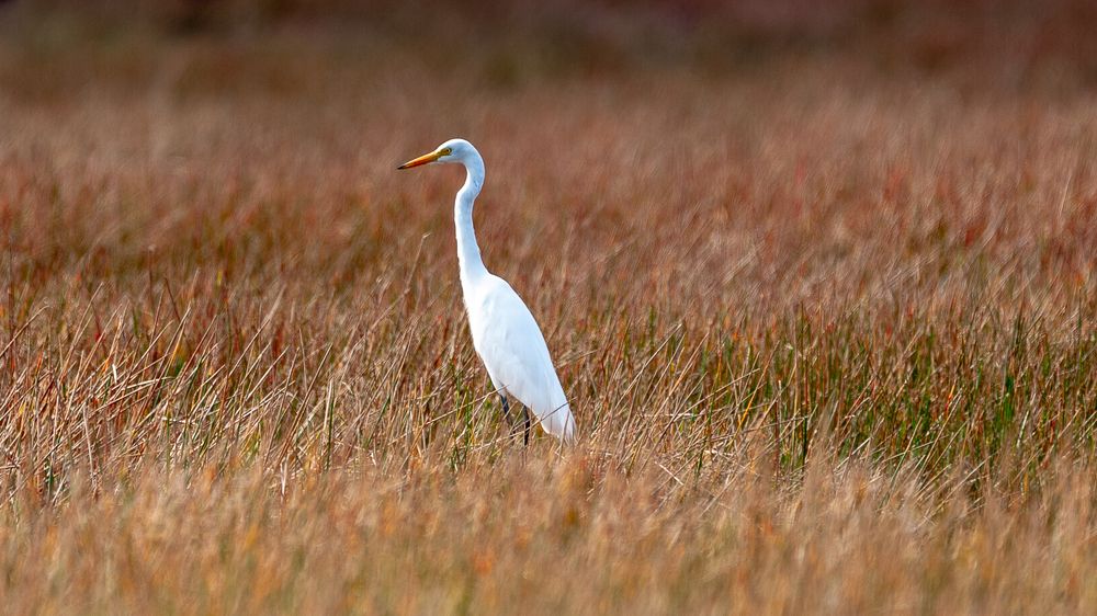 Photograph by Bao Huy Nguyễn