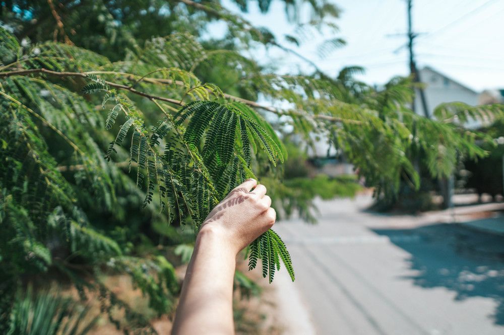 Photograph by Иван Кривоносов