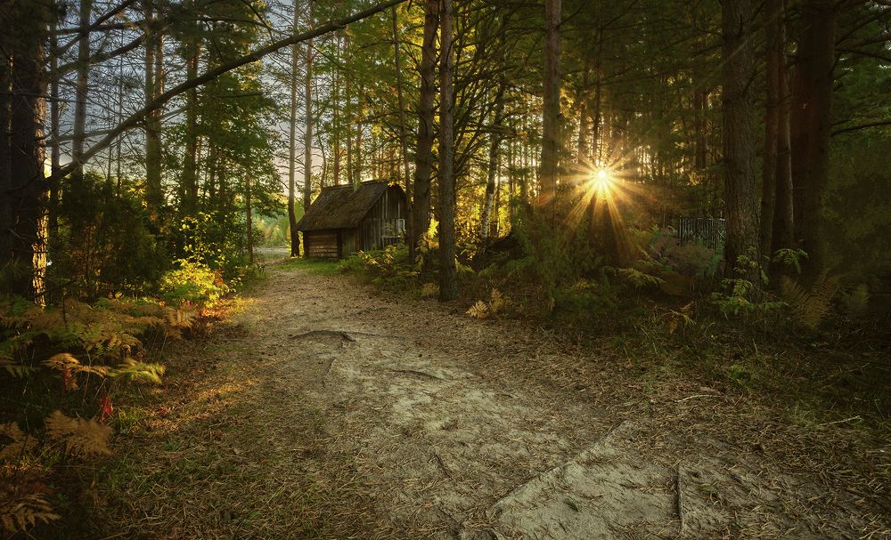 Photograph by Васенков Геннадий