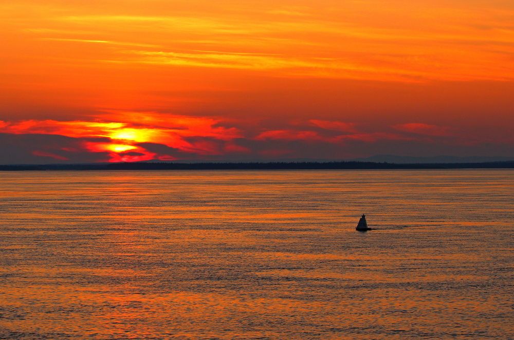 Photograph by Александр Велигура