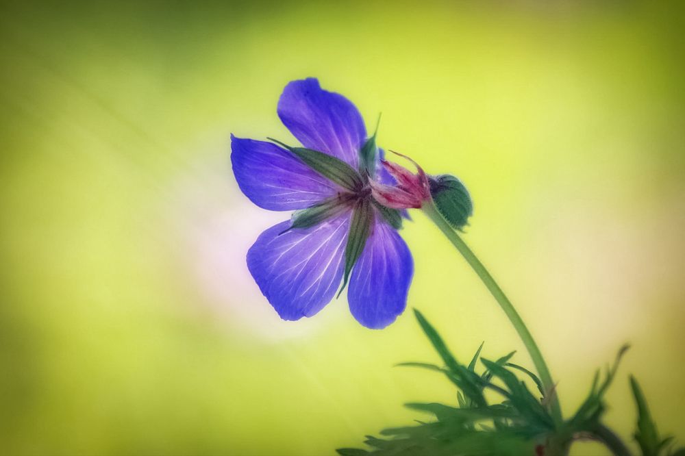 Photograph by Татьяна Бравая