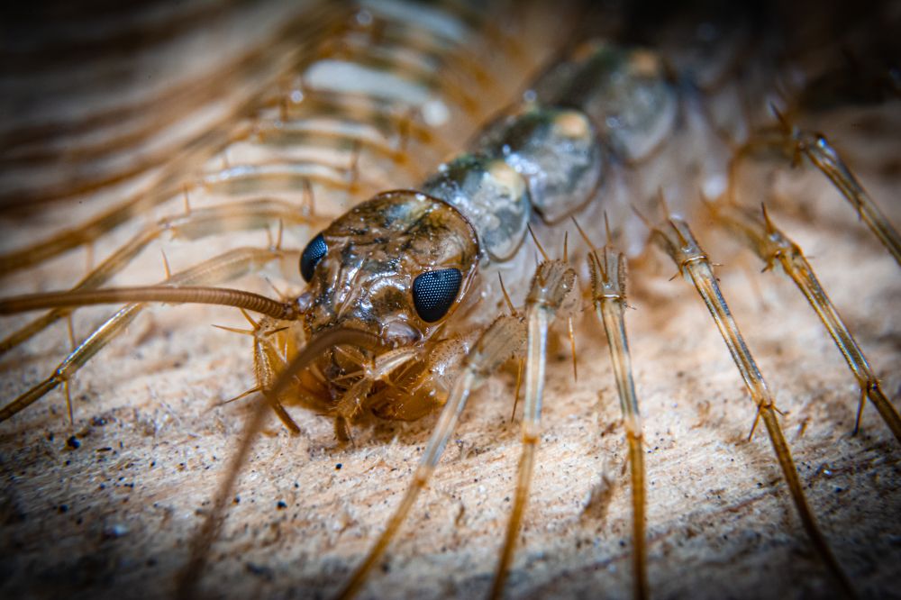 Photograph by Александр Третьяков