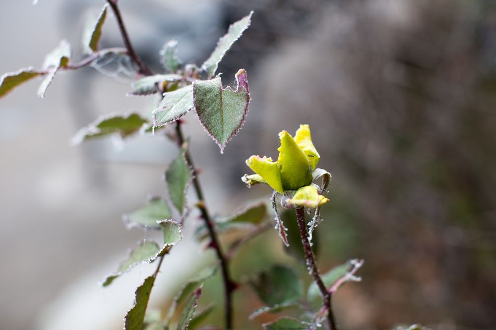 Photograph by Ирина Виноградова