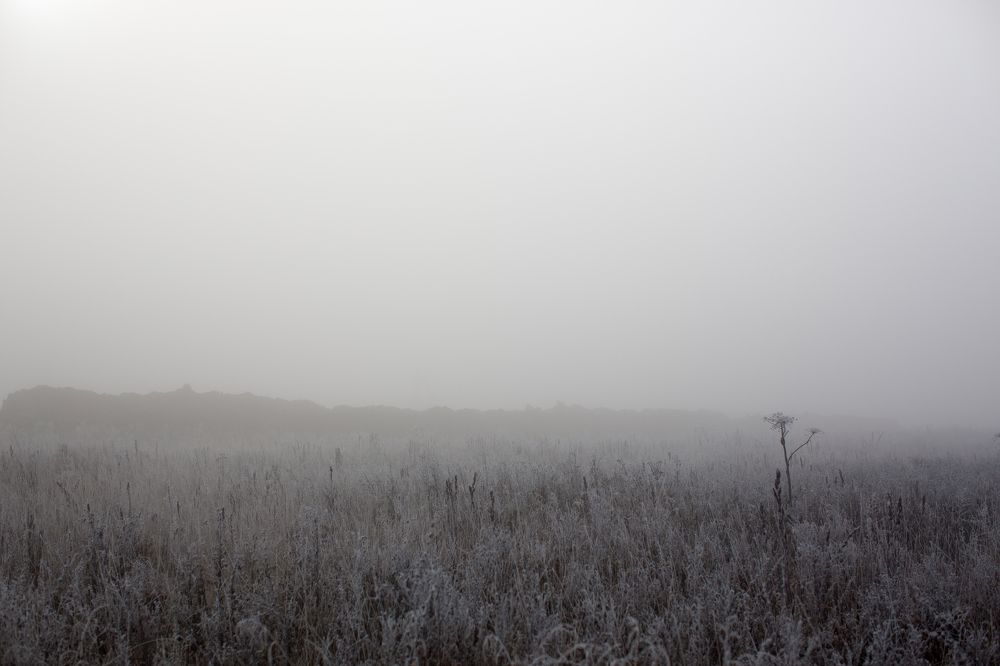 Photograph by Ирина Виноградова