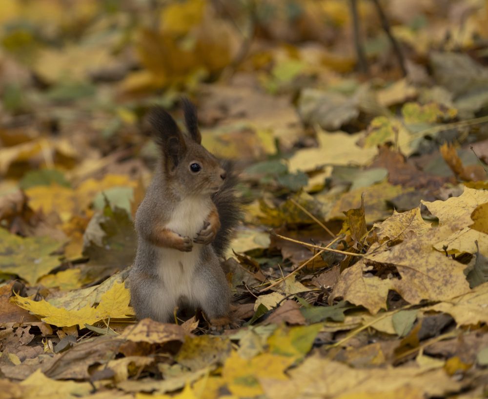 Photograph by Валентина Кваскова