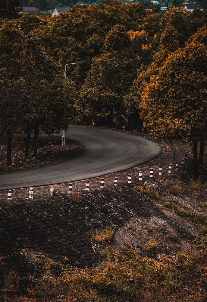 Photograph by Ly Cong