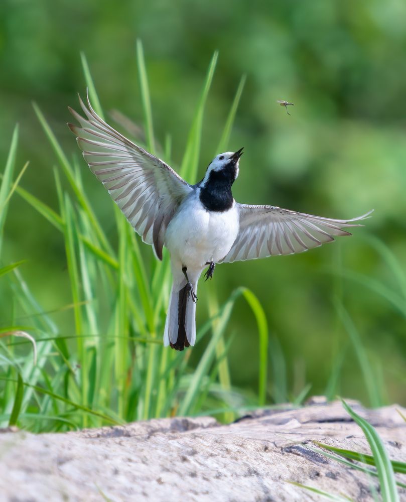 Photograph by Алексей Зайцев