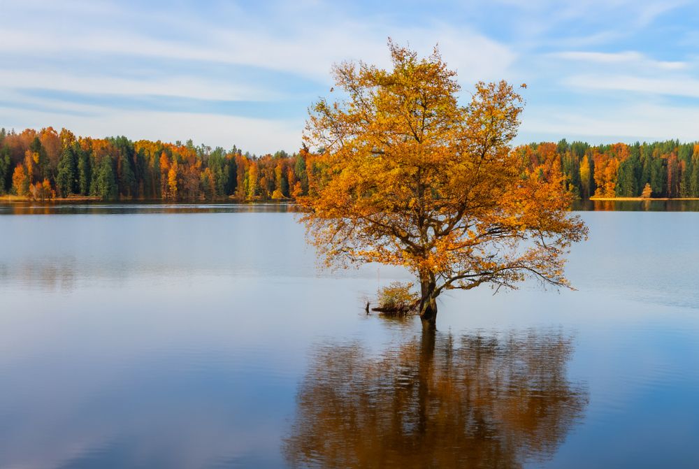 Photograph by Krzysztof Pawlicki