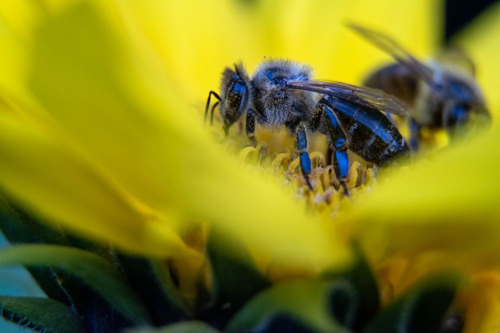 Photograph by Karolina Navodnik