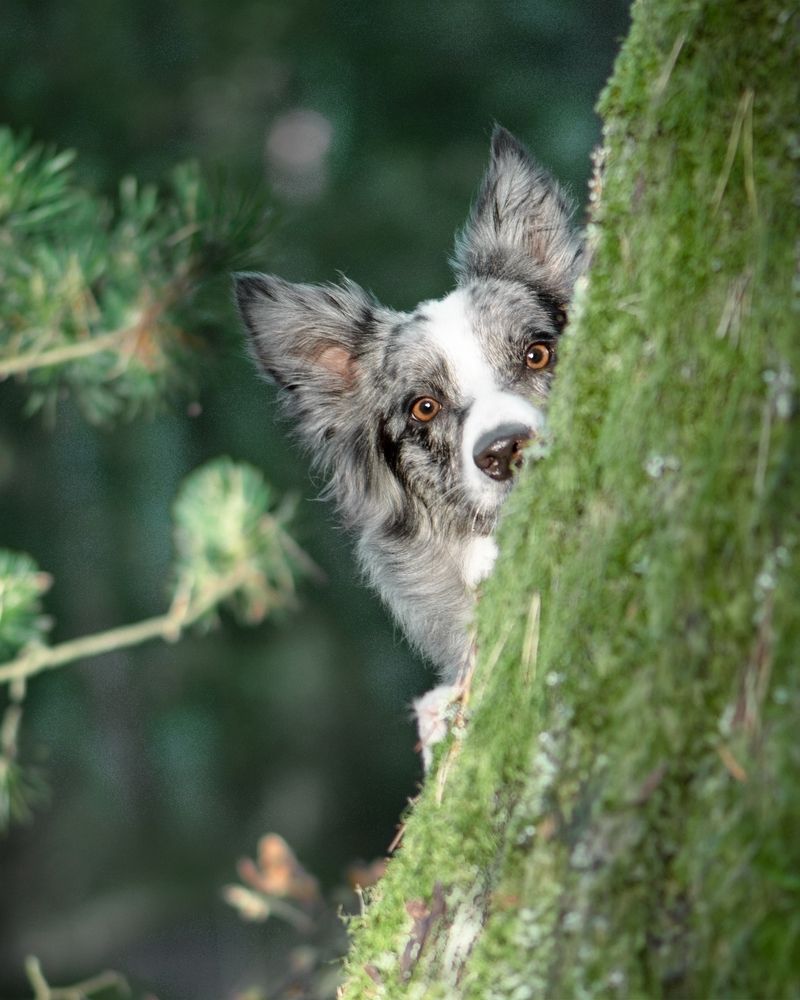 Photograph by Татьяна Полякова