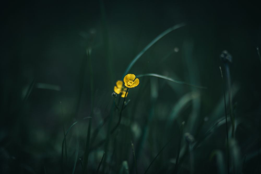 Photograph by Андрей Данилов