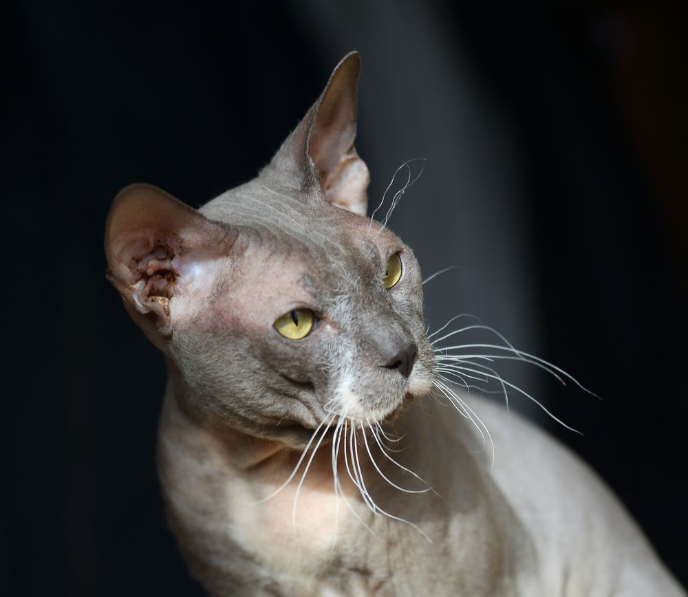 Photograph by Станислав Вершинин