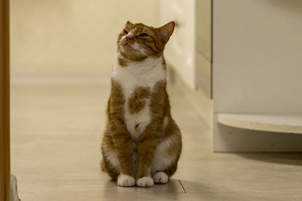 Photograph by Константин Чижов