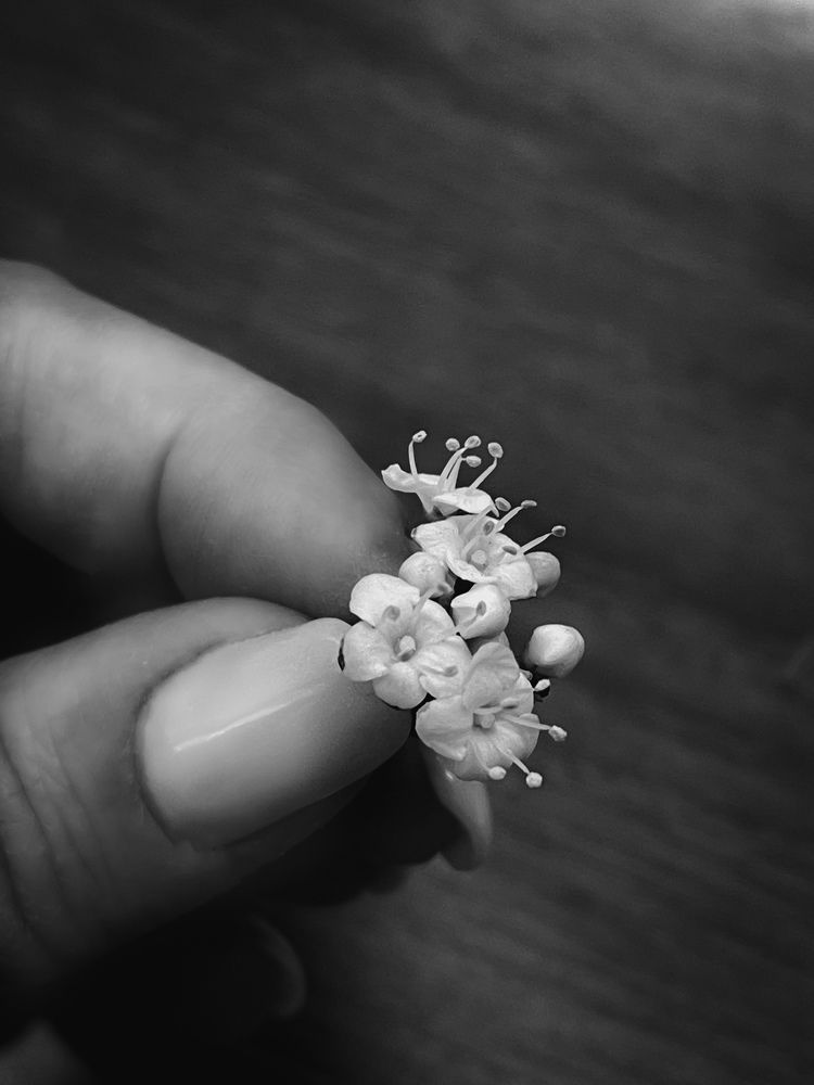 Photograph by Lucia Correia