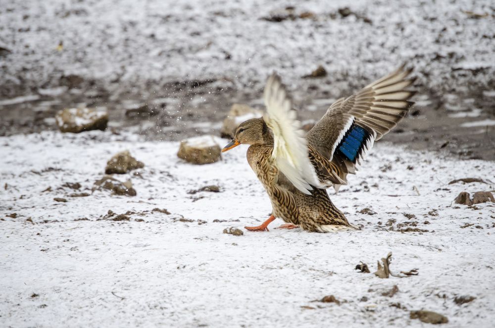 Photograph by Любовь Бусова